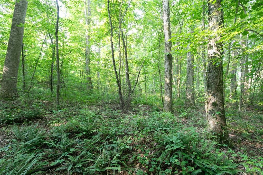 0 Crossroads Church Road