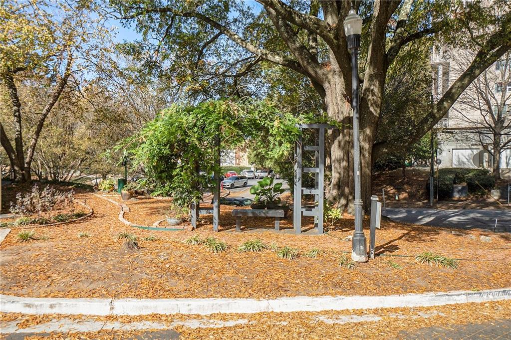 821 Ralph Mcgill Boulevard NE Unit 2416