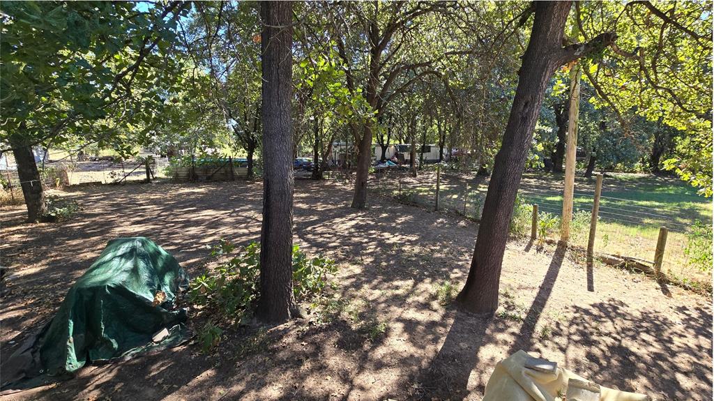 12311 Birdhouse Road