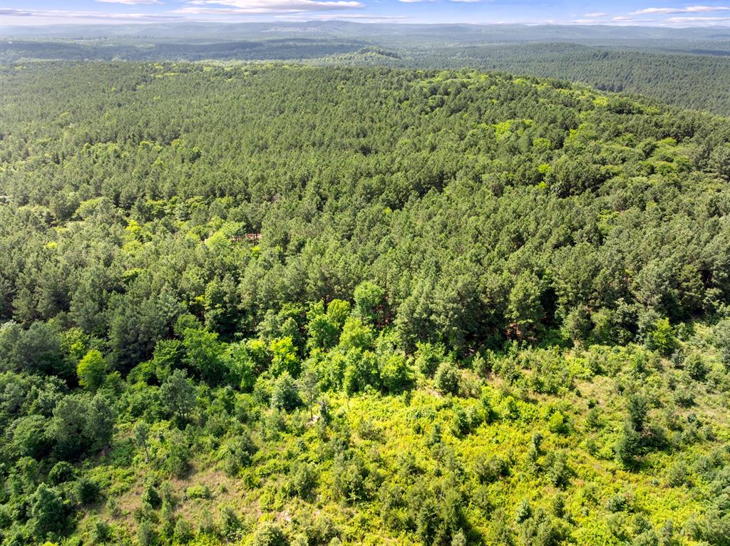 608 Woodsman Trail