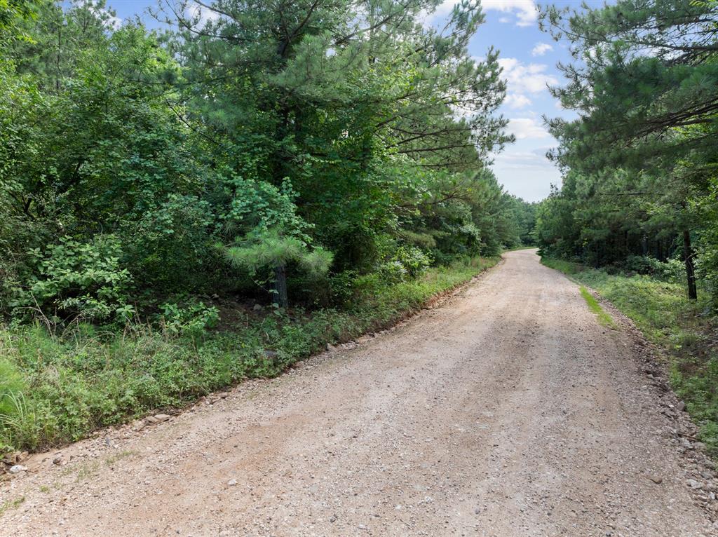 608 Woodsman Trail