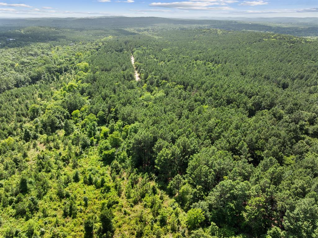 608 Woodsman Trail