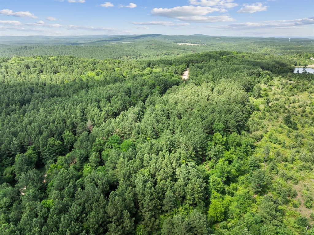 608 Woodsman Trail