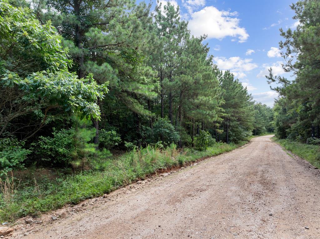 608 Woodsman Trail