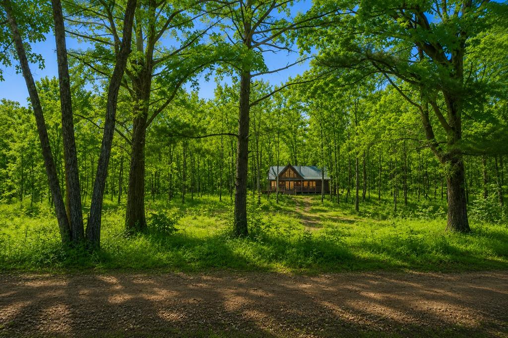 1425 Firefly Lane