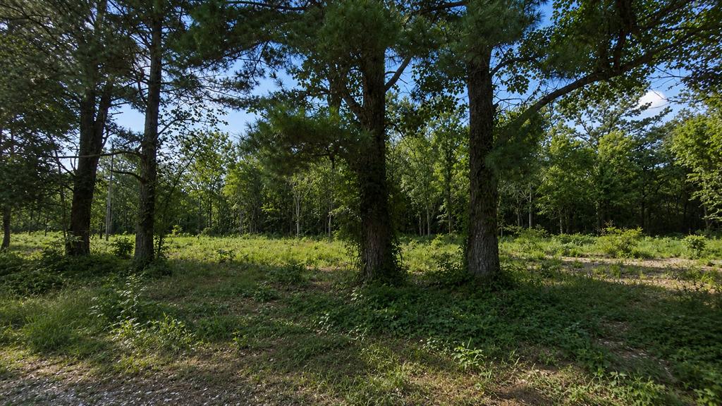 1425 Firefly Lane