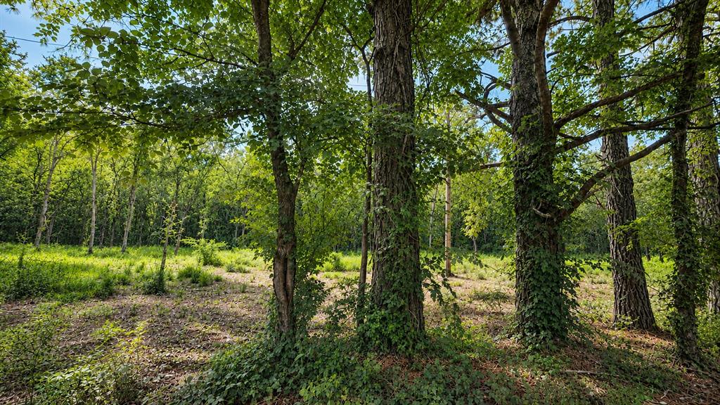 1425 Firefly Lane