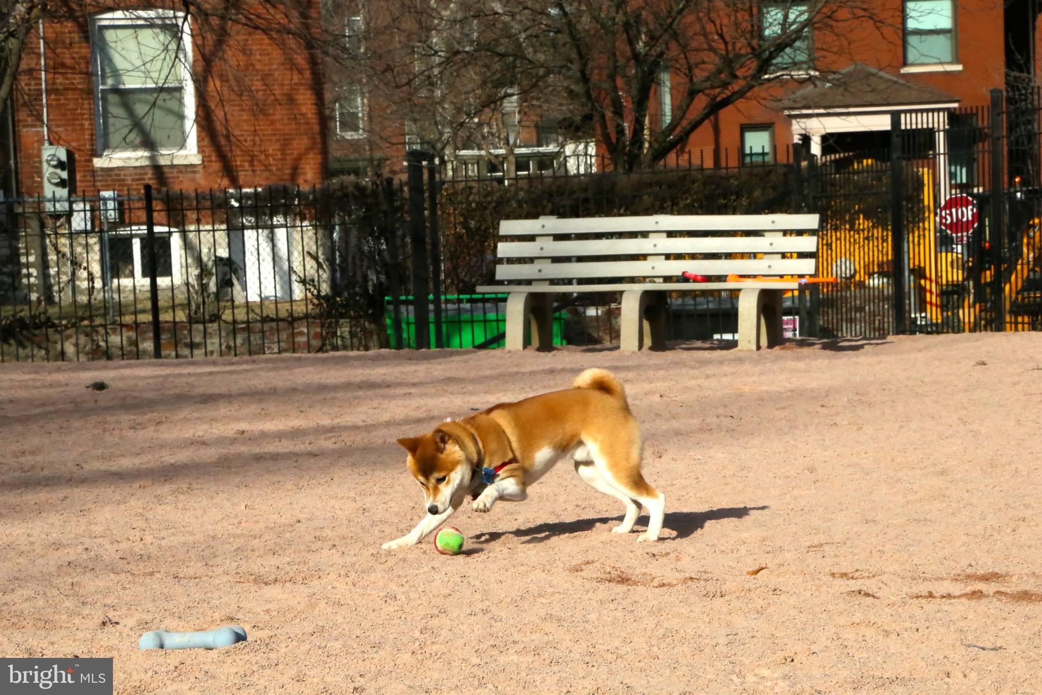 1610 11TH STREET NW 3B