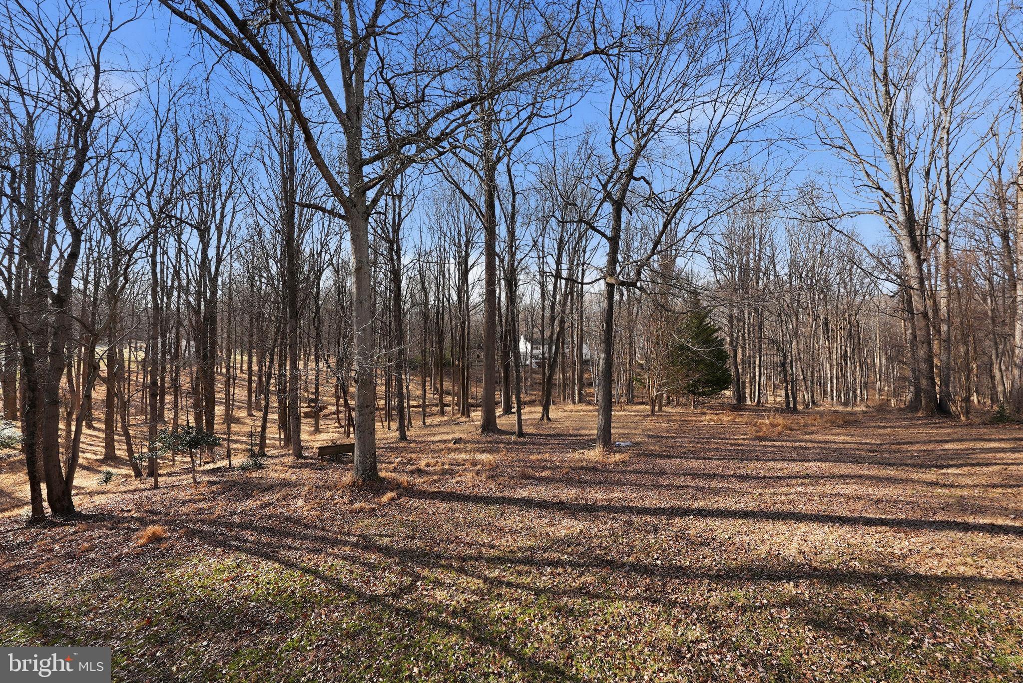 8217 PLUM CREEK DRIVE