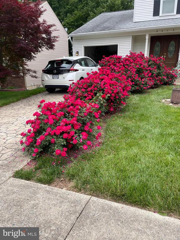 8413 Silverdale Ct