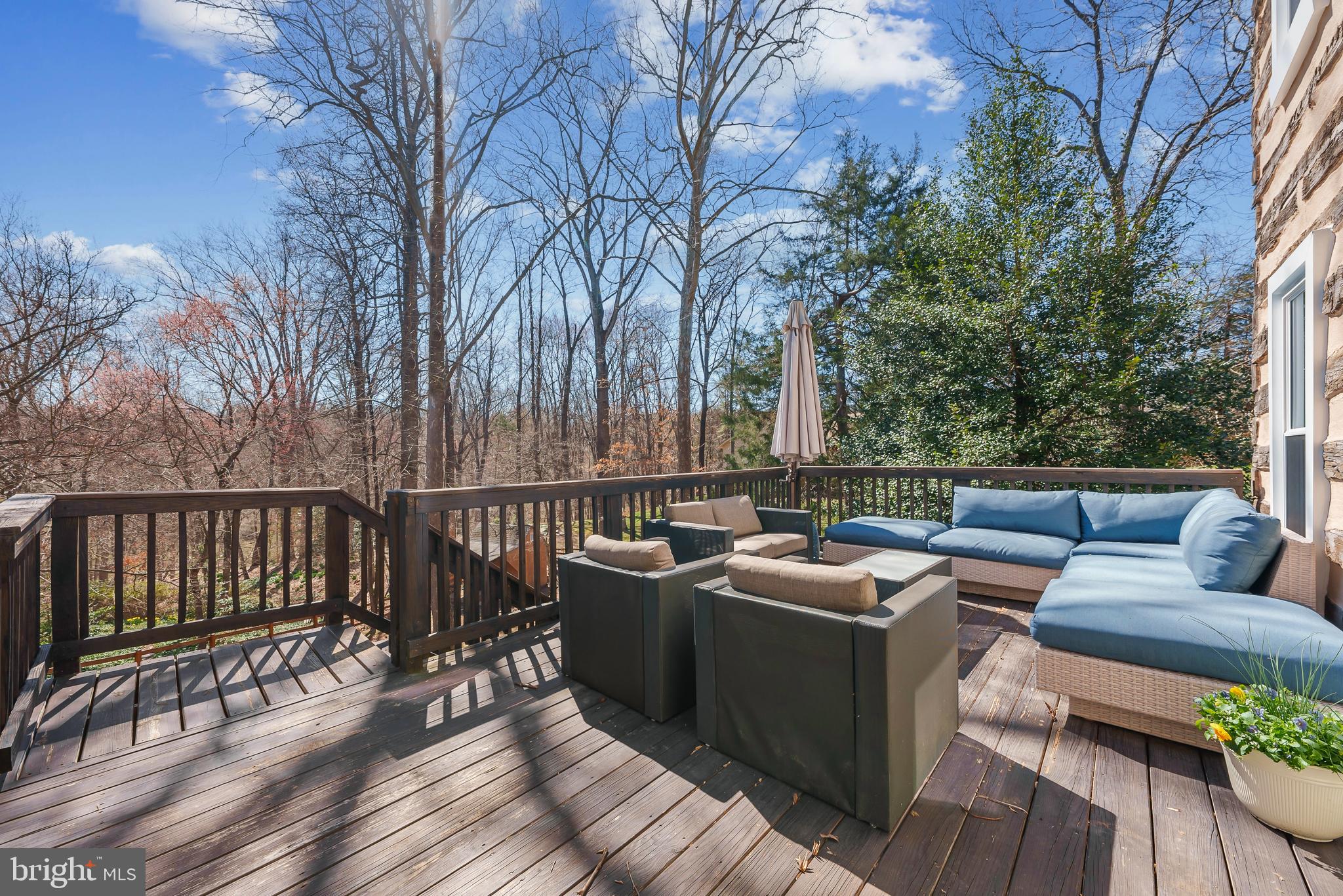 10203 Yellow Pine Dr