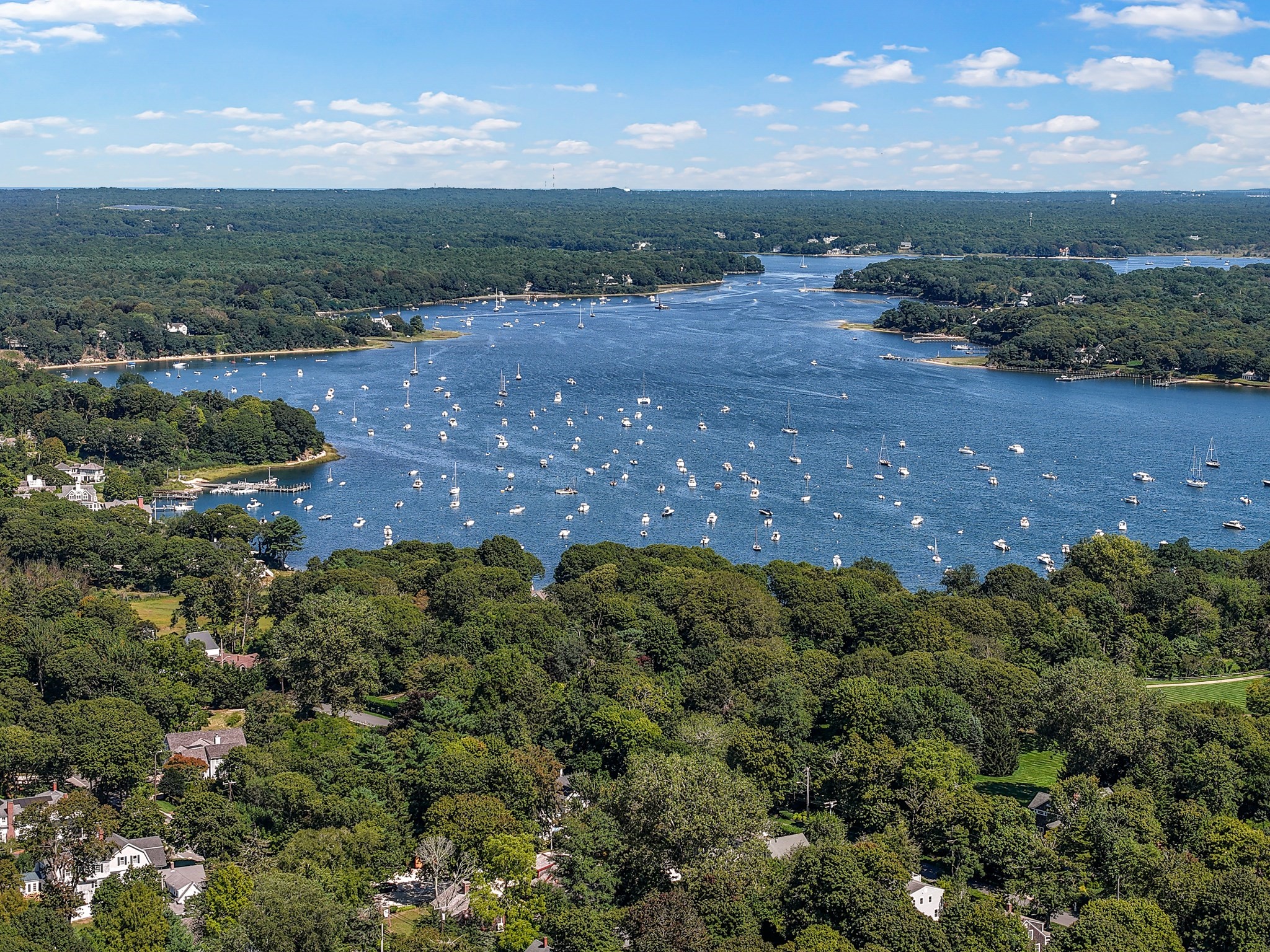 Aerial view of a boat-filled harbor beyond tree-covered homes.