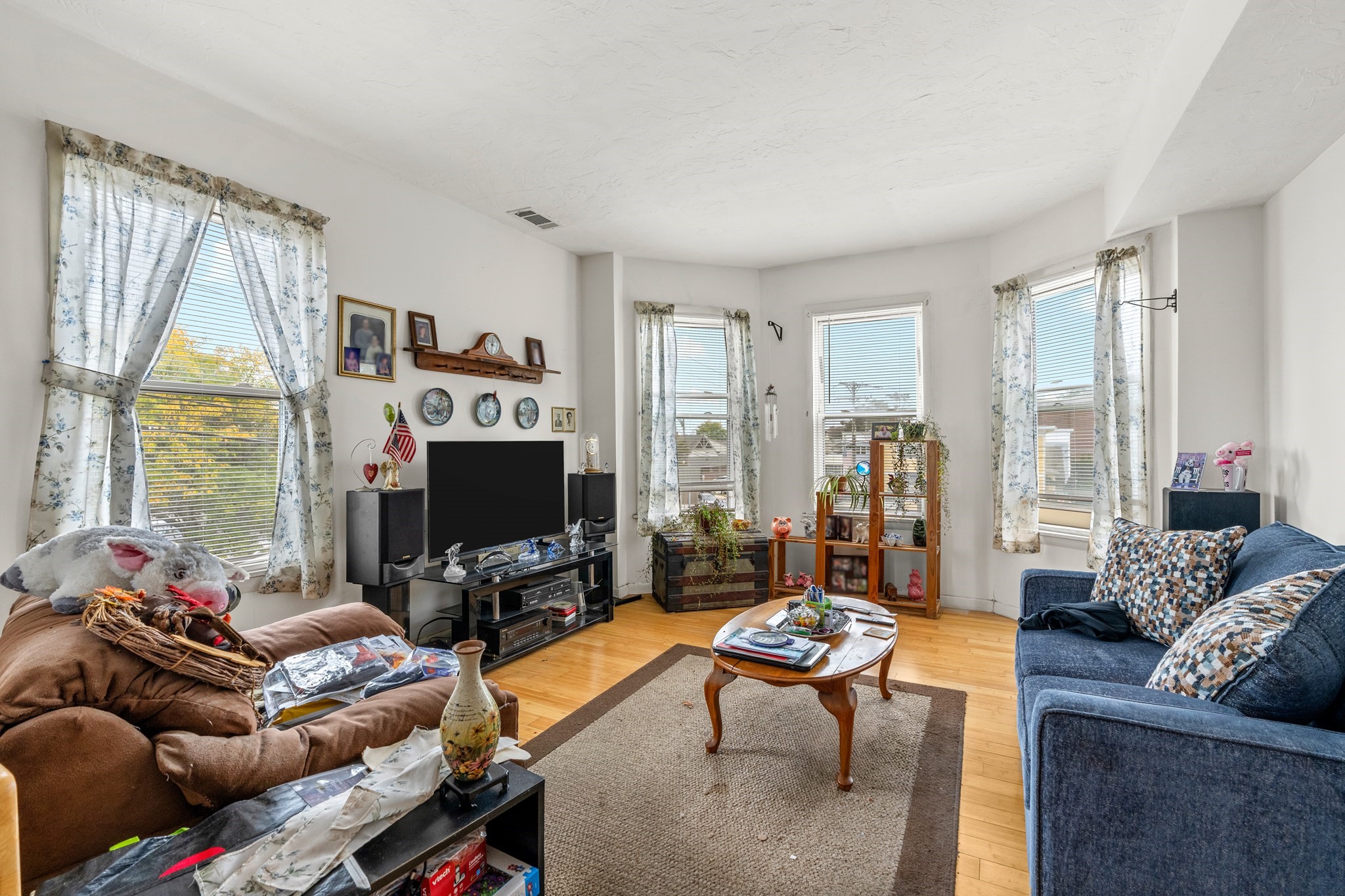 Living room with sofas, a television, a coffee table, and multiple windows.