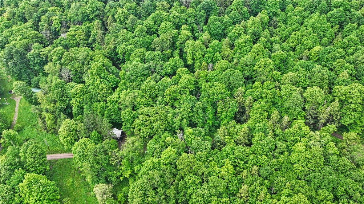 2251 Whites Creek Rd