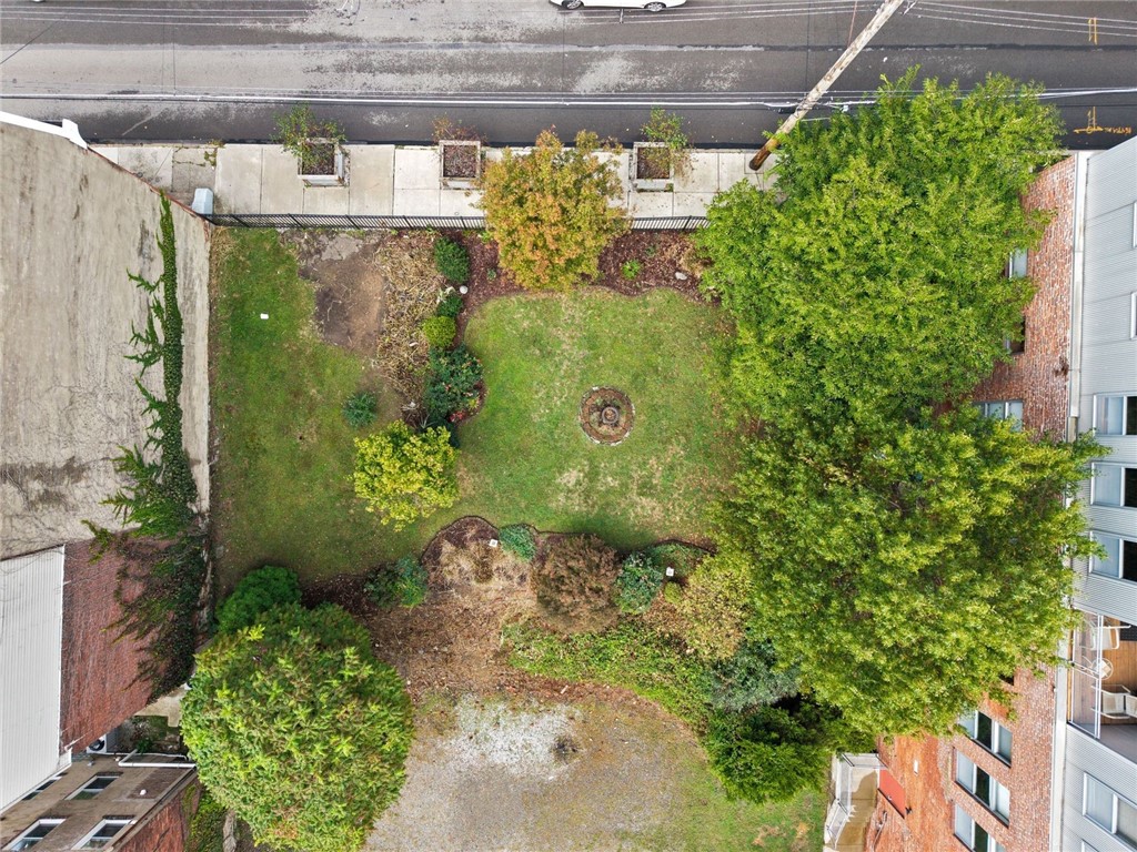 1536 Colwell Street 1