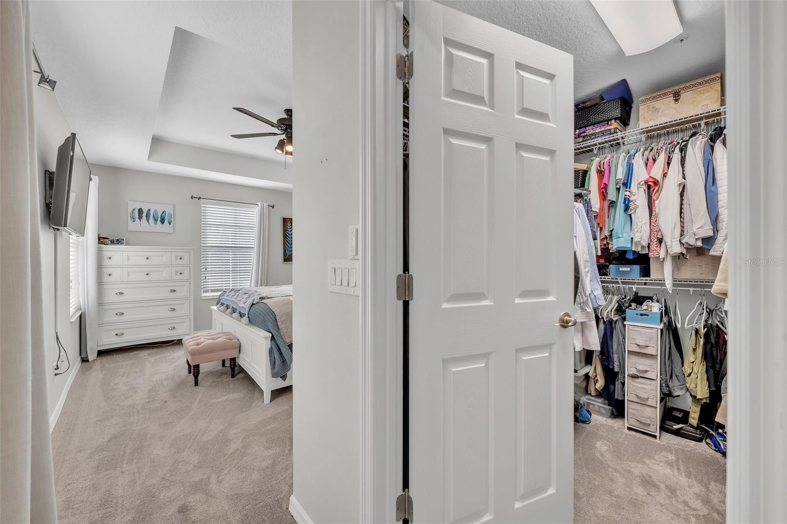 196 CANTERBURY BELL DR