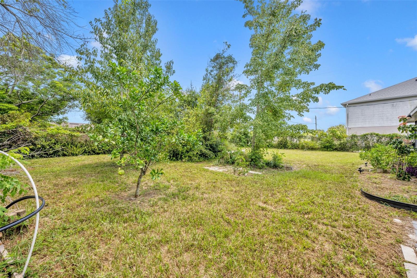 809 MENTMORE CIR