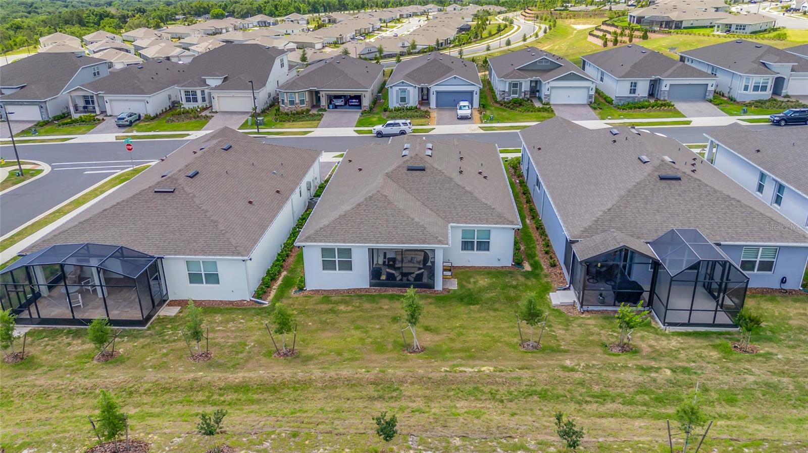 1384 ZESTY CITRUS LN