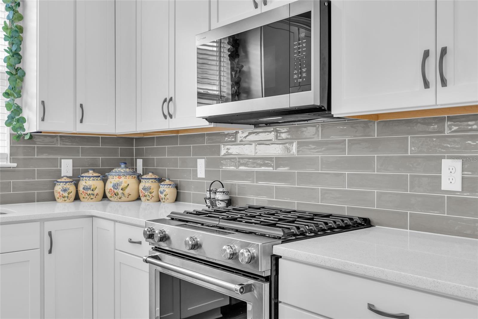 1384 ZESTY CITRUS LN