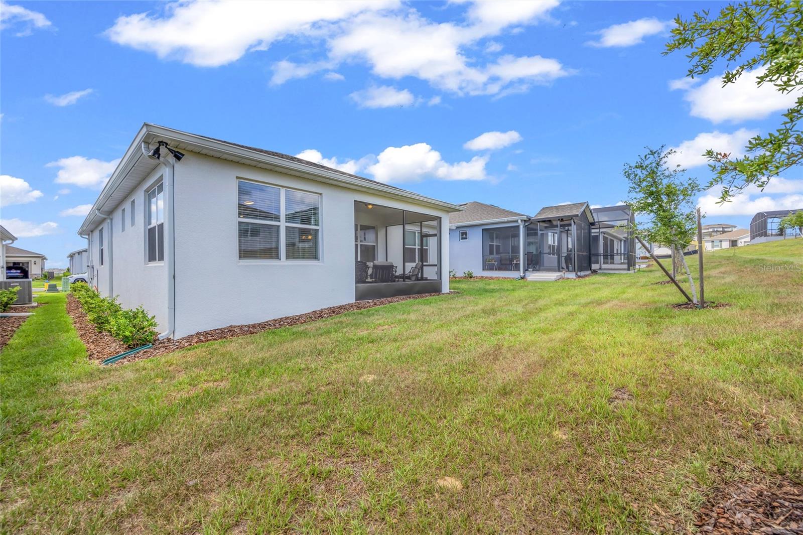 1384 ZESTY CITRUS LN