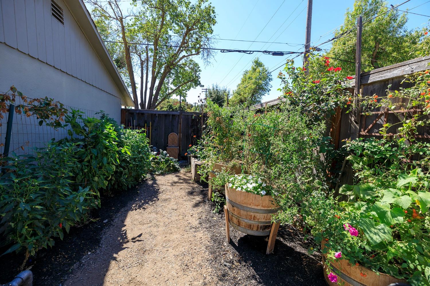 301 Bonita Avenue