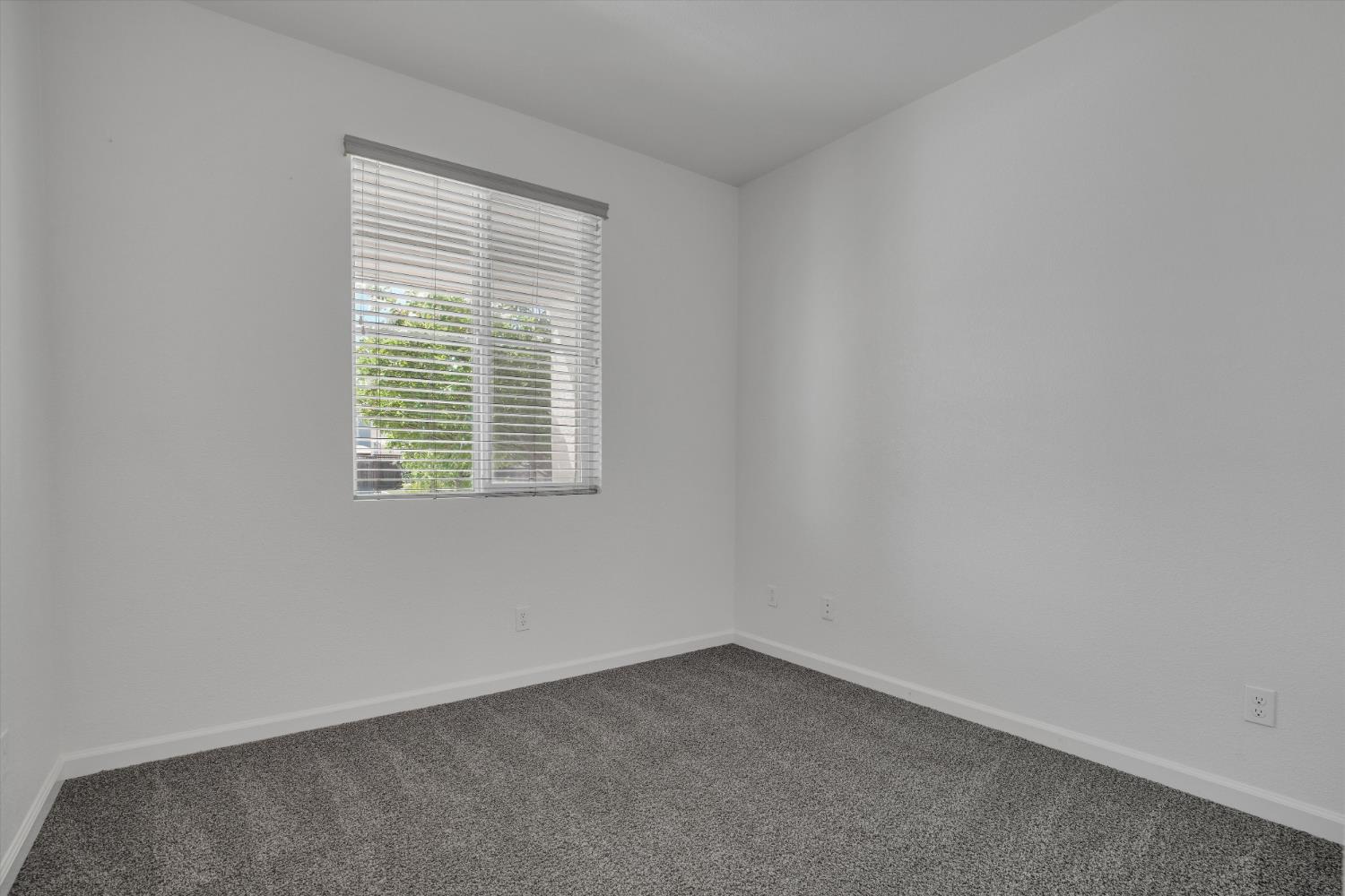 17738 Brandeis Court