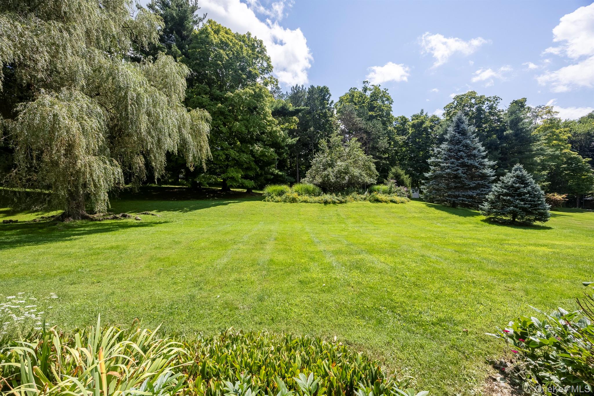 12 Ciferri Drive