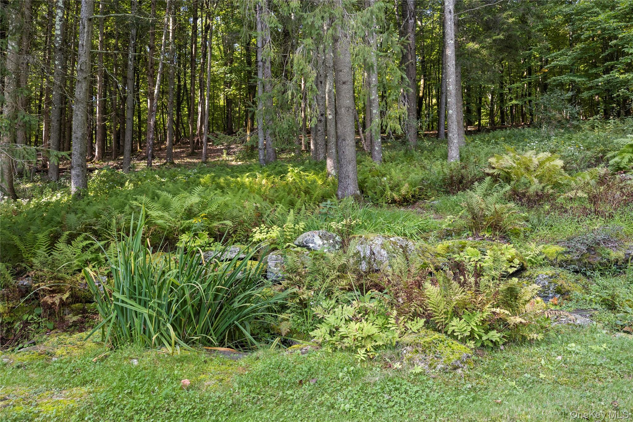 81 Tinker Hill Road