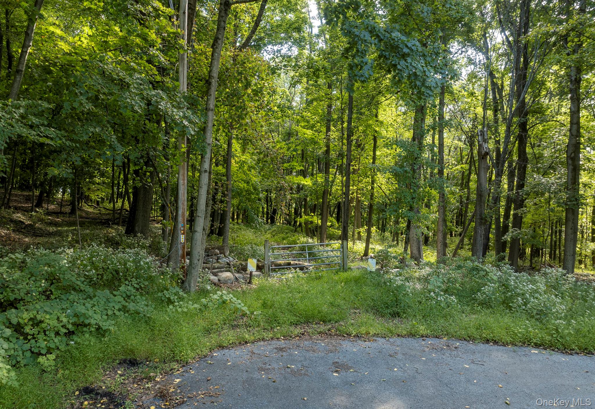 59 Linden Lane S
