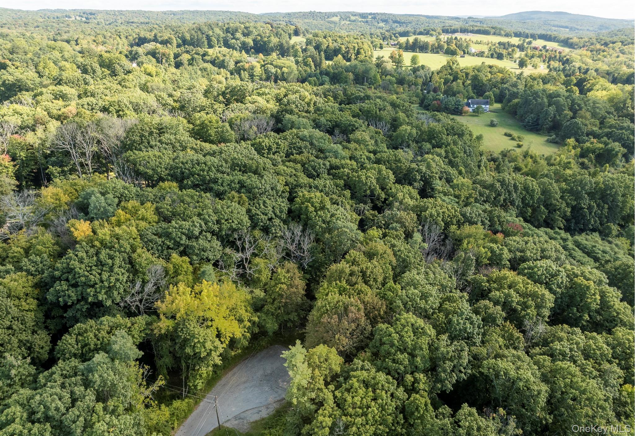 Aerial view of Millbrook countryside with dense woodland, open fields, and a small house.