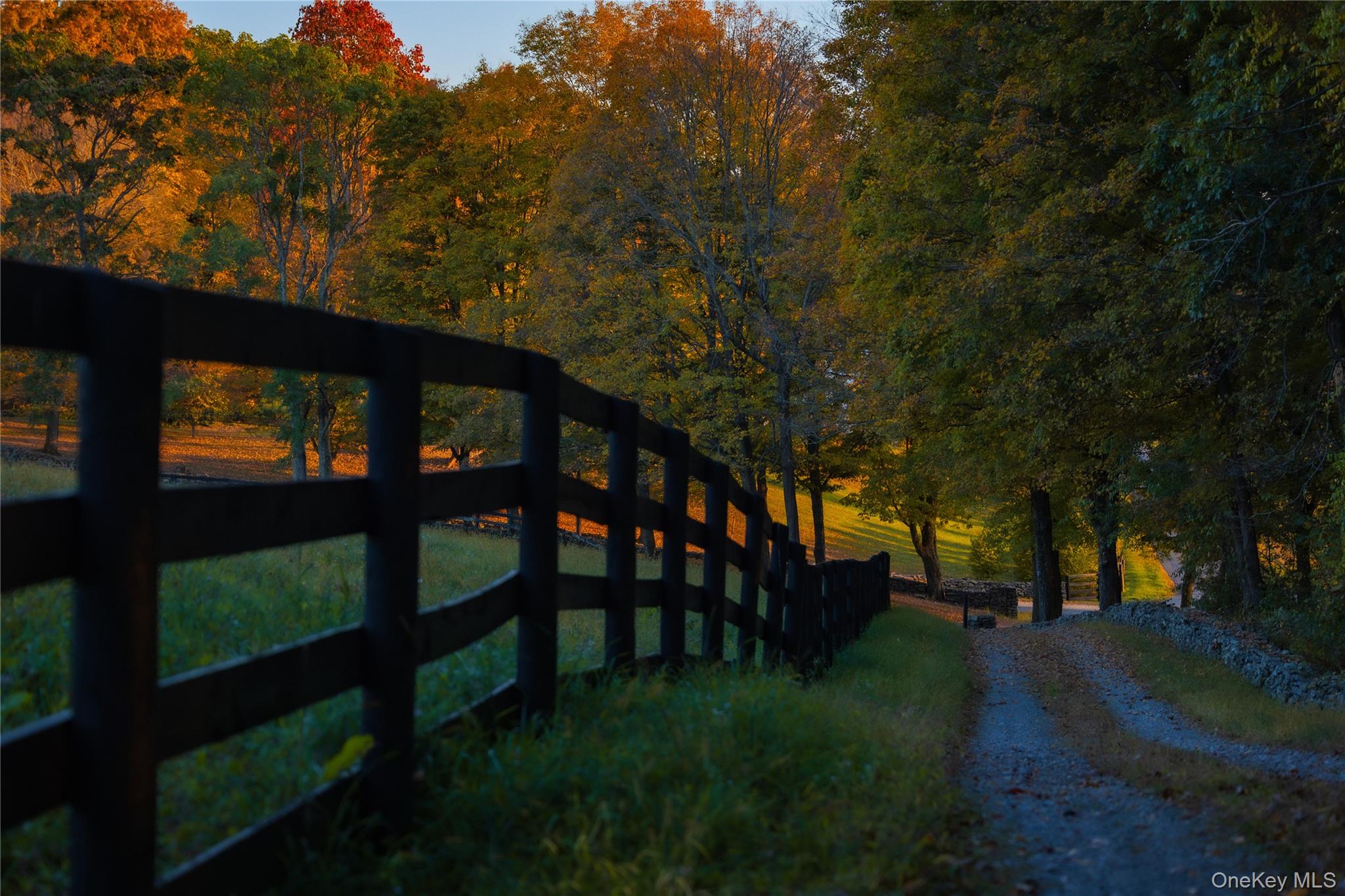 Ruskey Lane