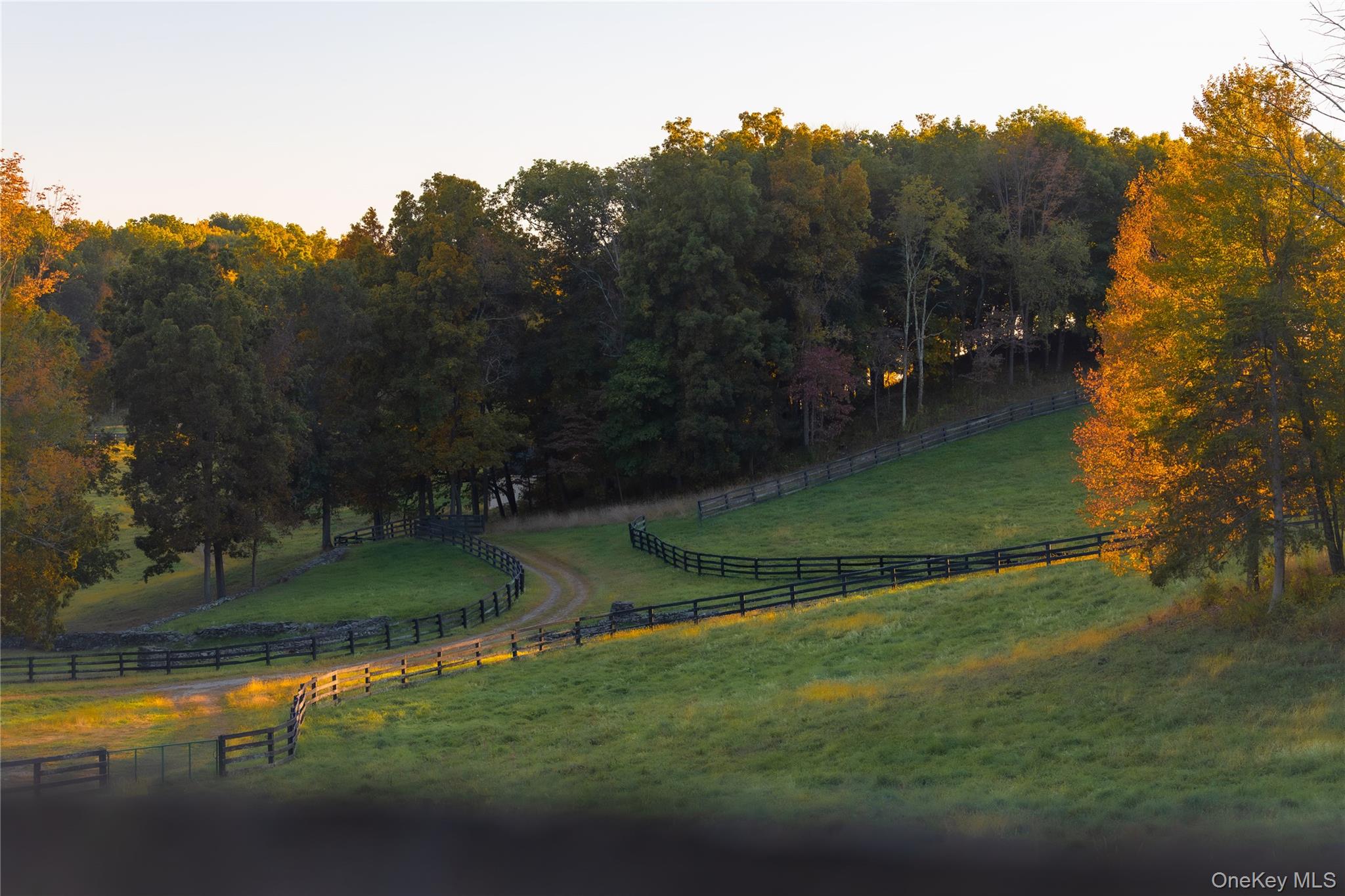 Ruskey Lane