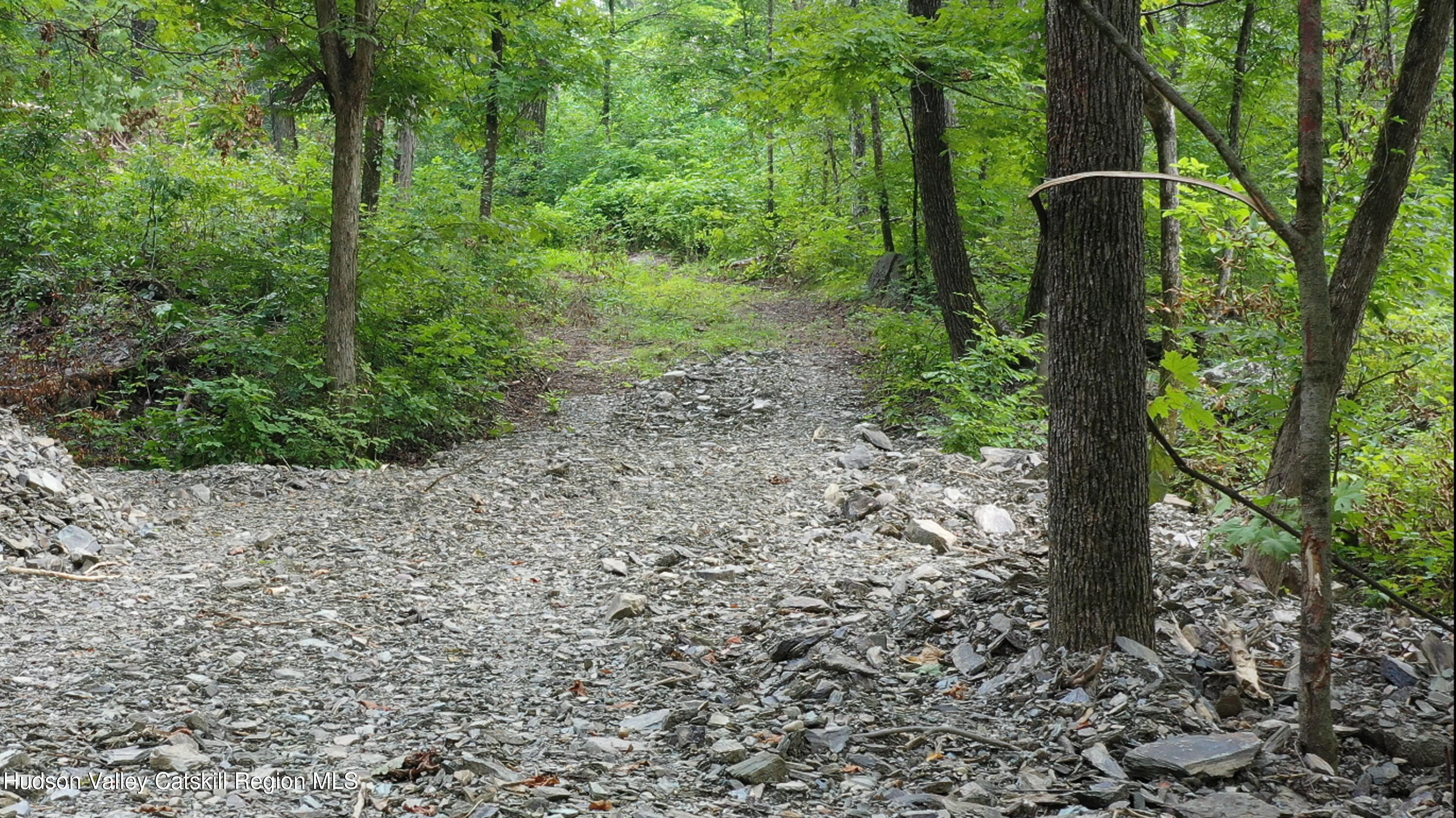 Tbd Creek Road