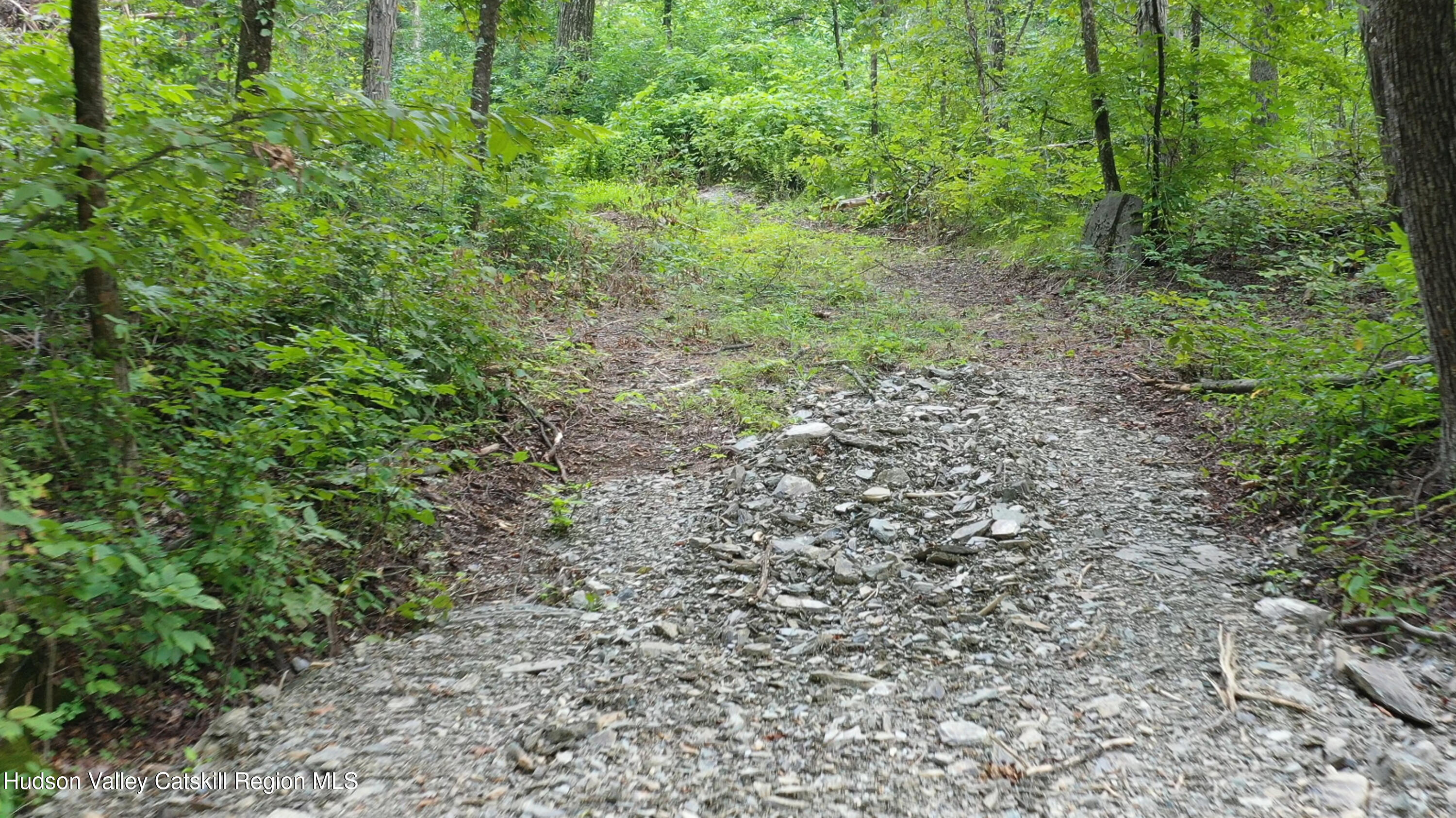 Tbd Creek Road