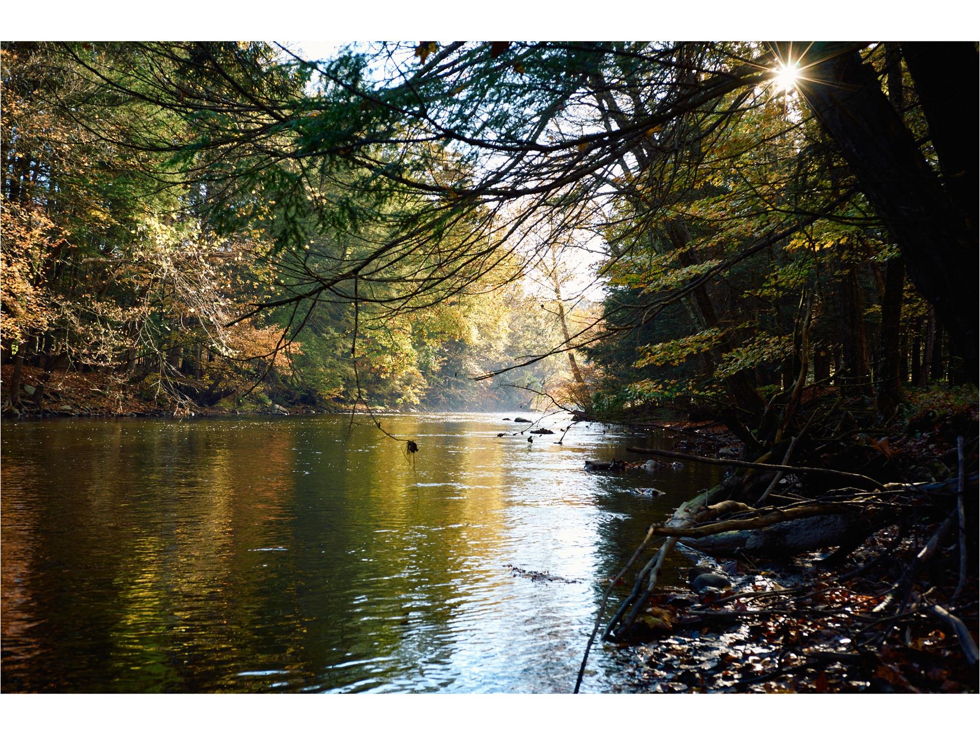 461 Silvernails Road