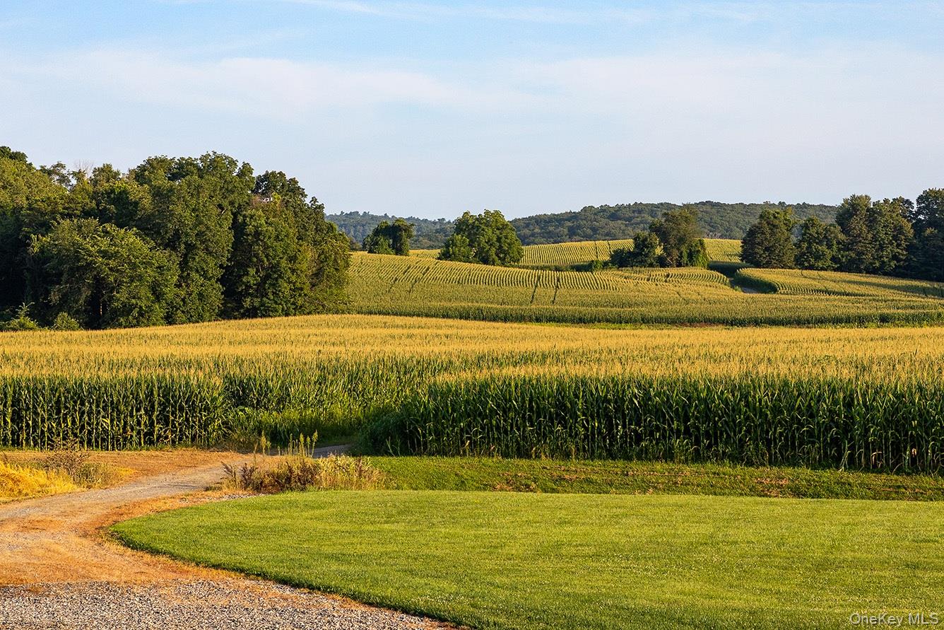 281 County Route 3
