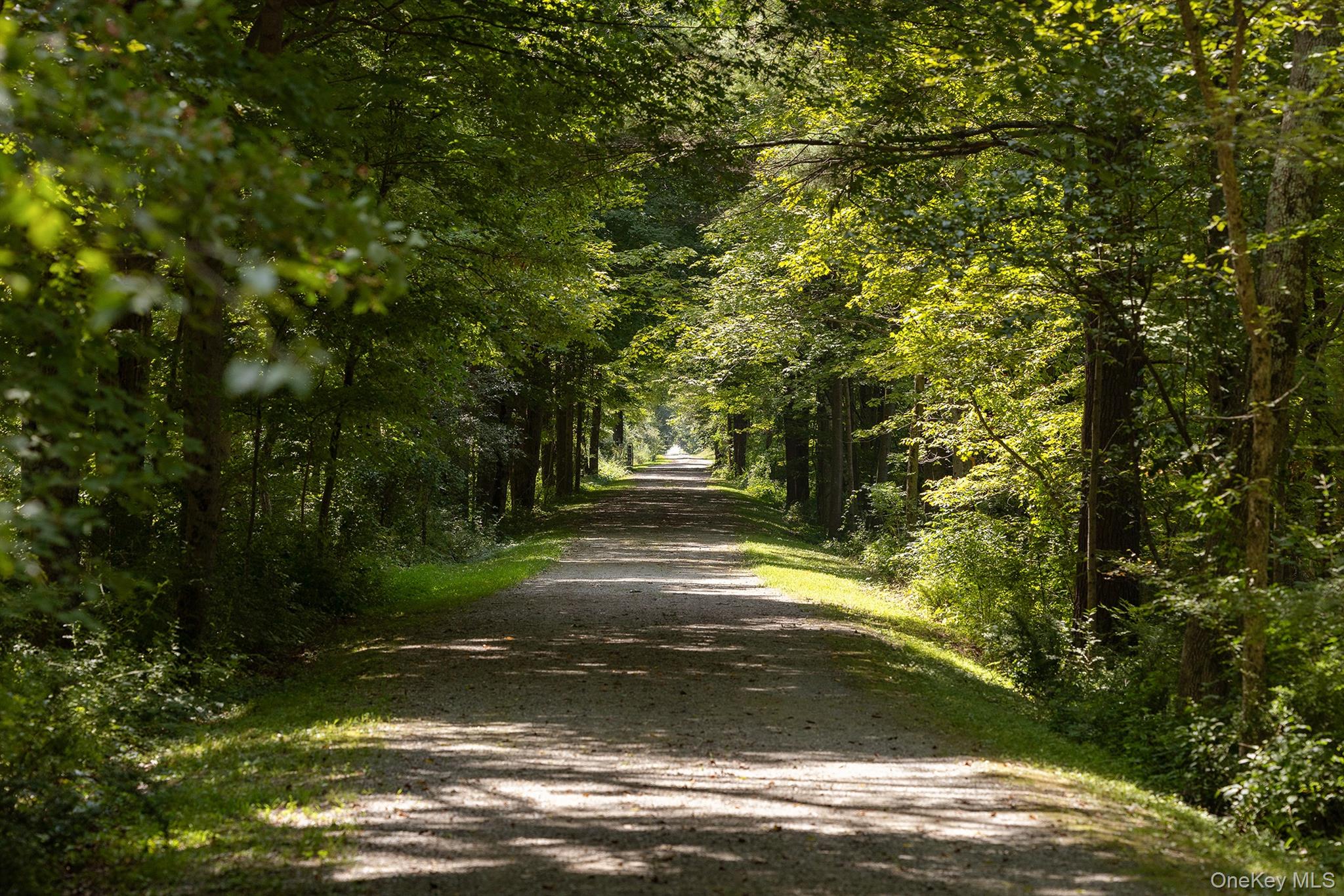281 County Route 3