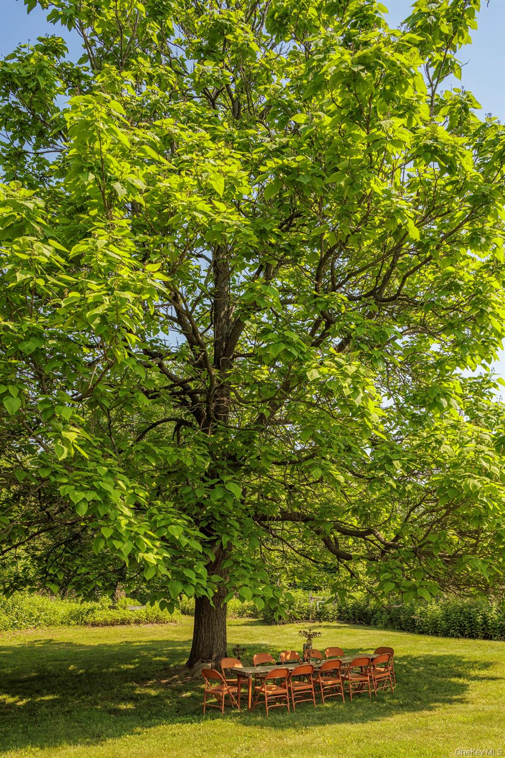 249 Old Saw Mill Road