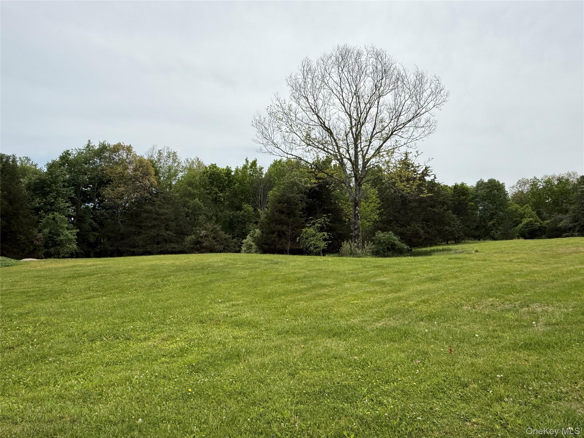 35 Appaloosa Lane