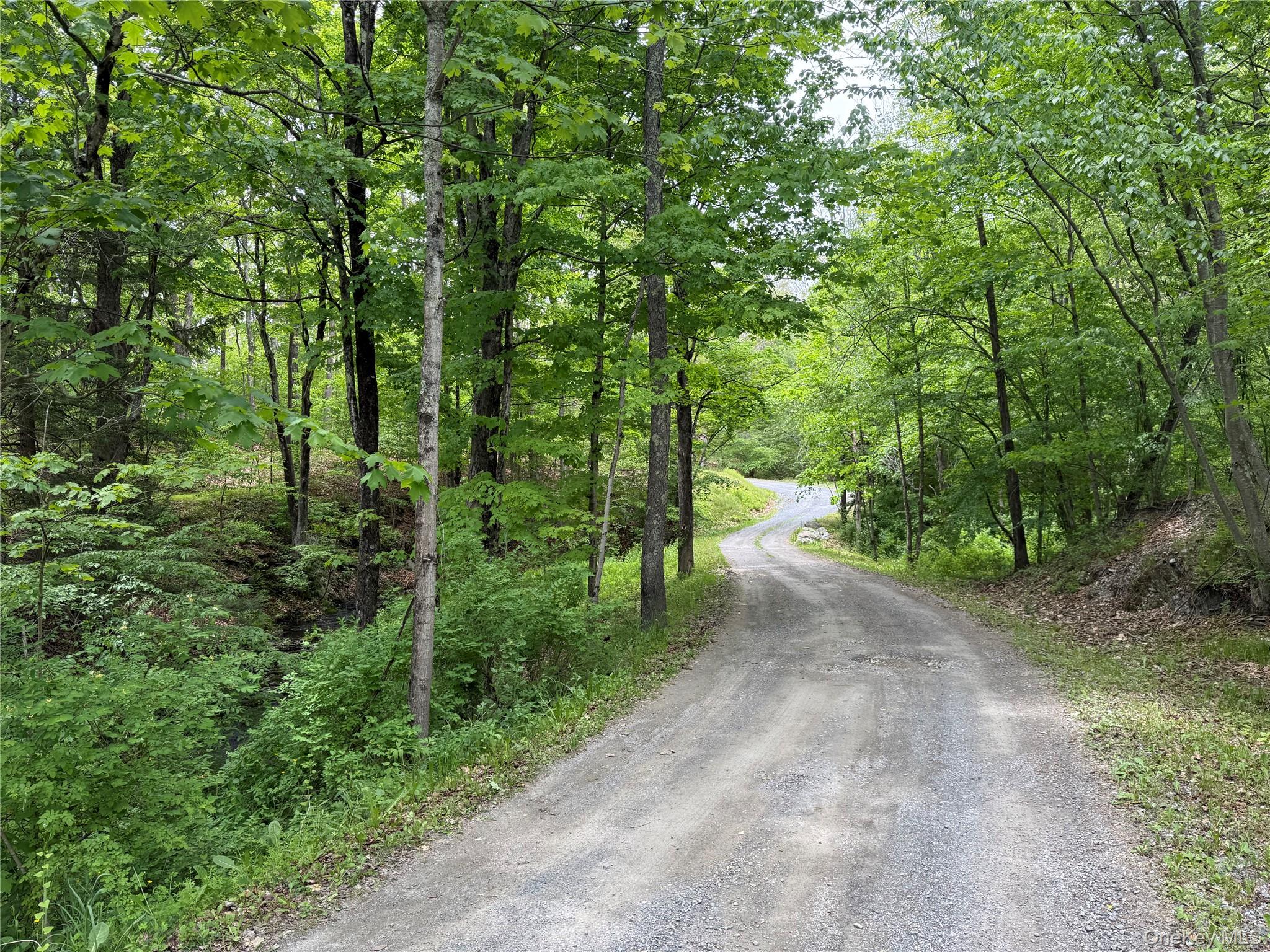 35 Appaloosa Lane