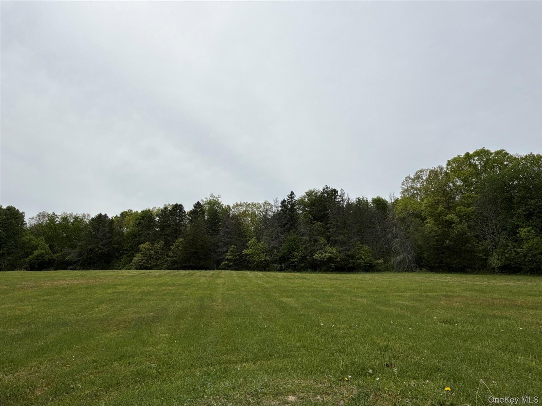 35 Appaloosa Lane