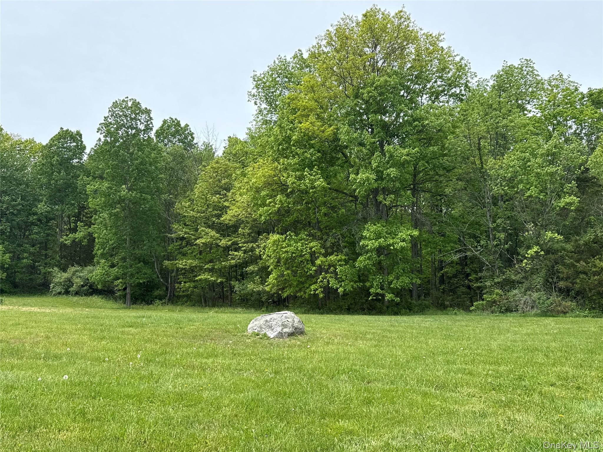 35 Appaloosa Lane