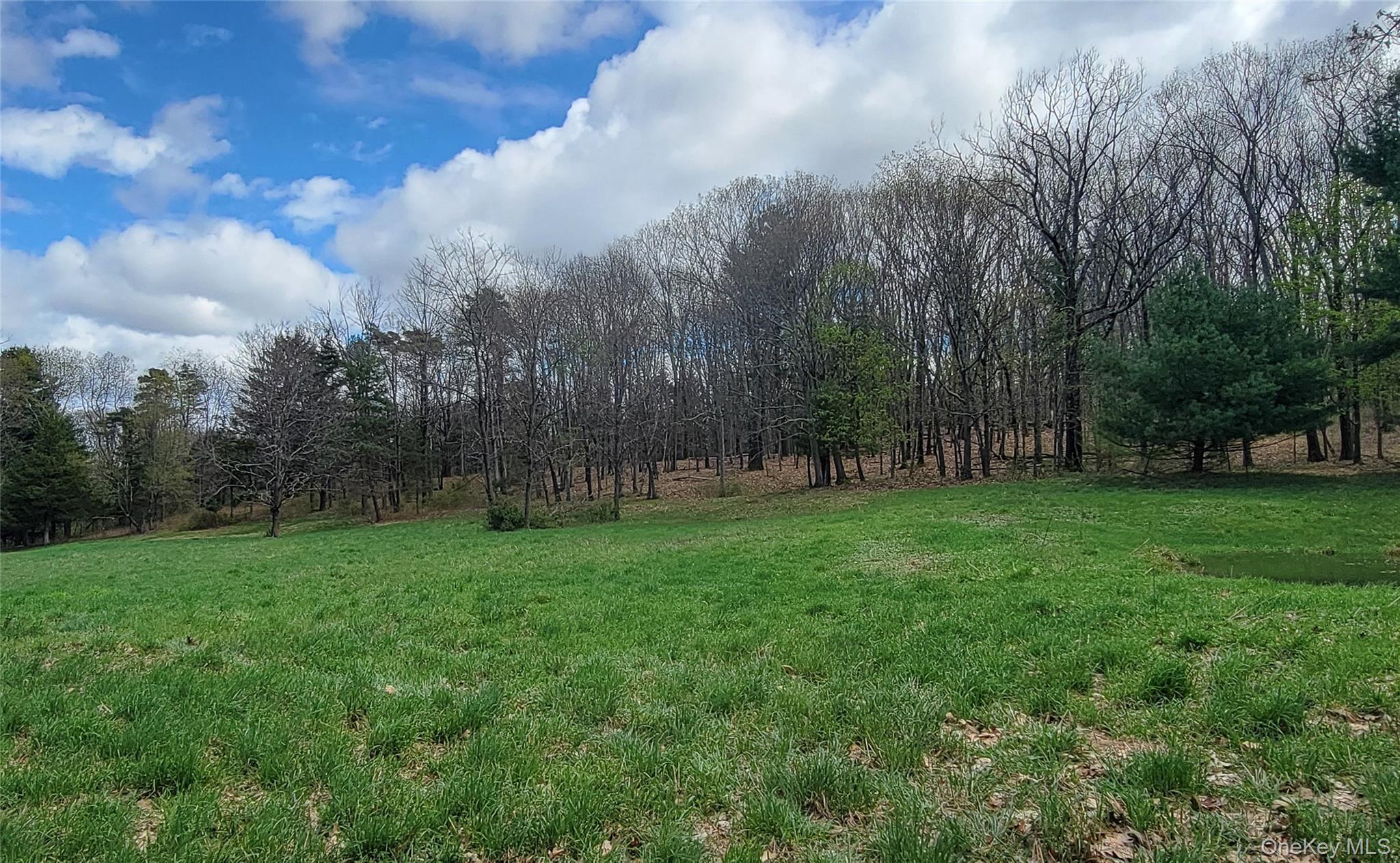 188 Nine Partners Lane