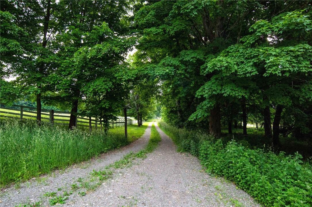 390 Carpenter Hill Road