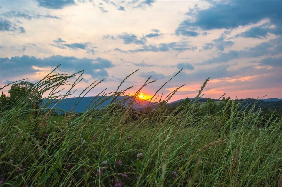 390 Carpenter Hill Road