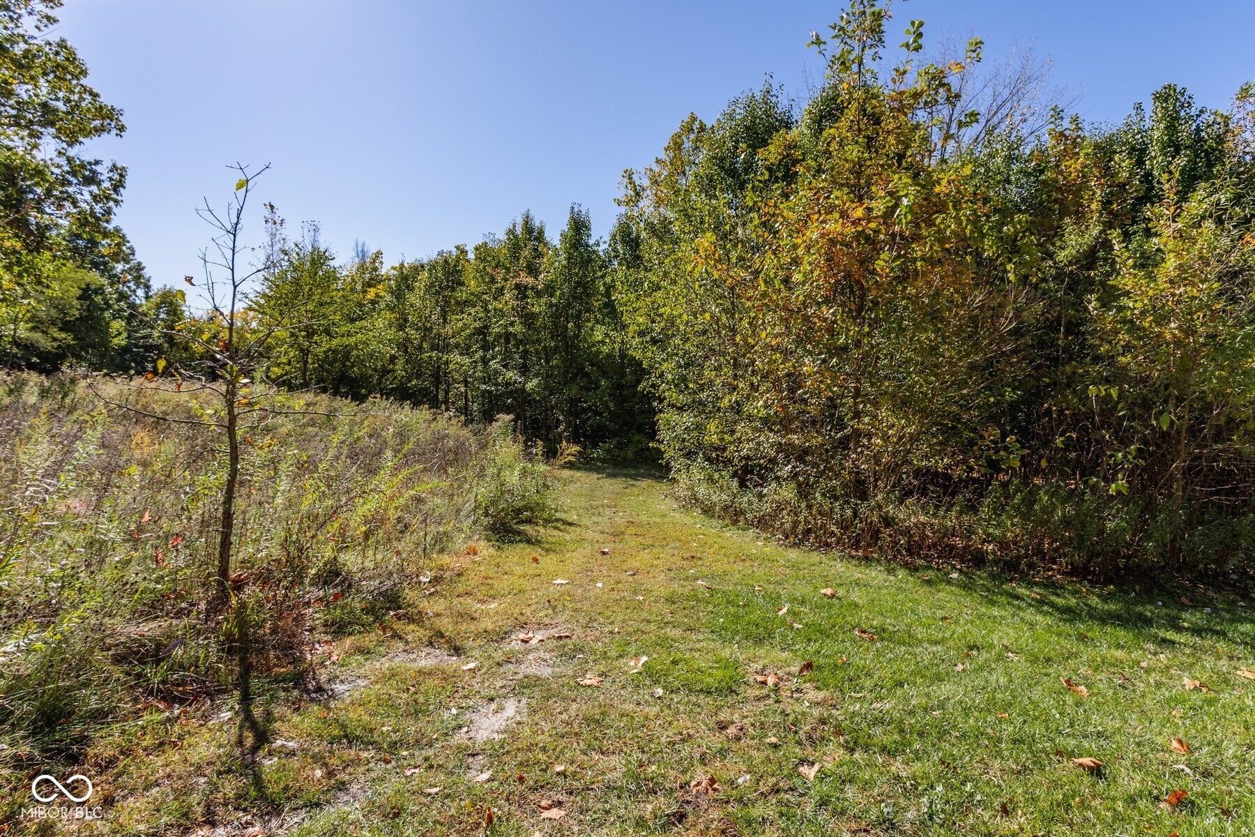 6650 Page Boulevard Unit: 402