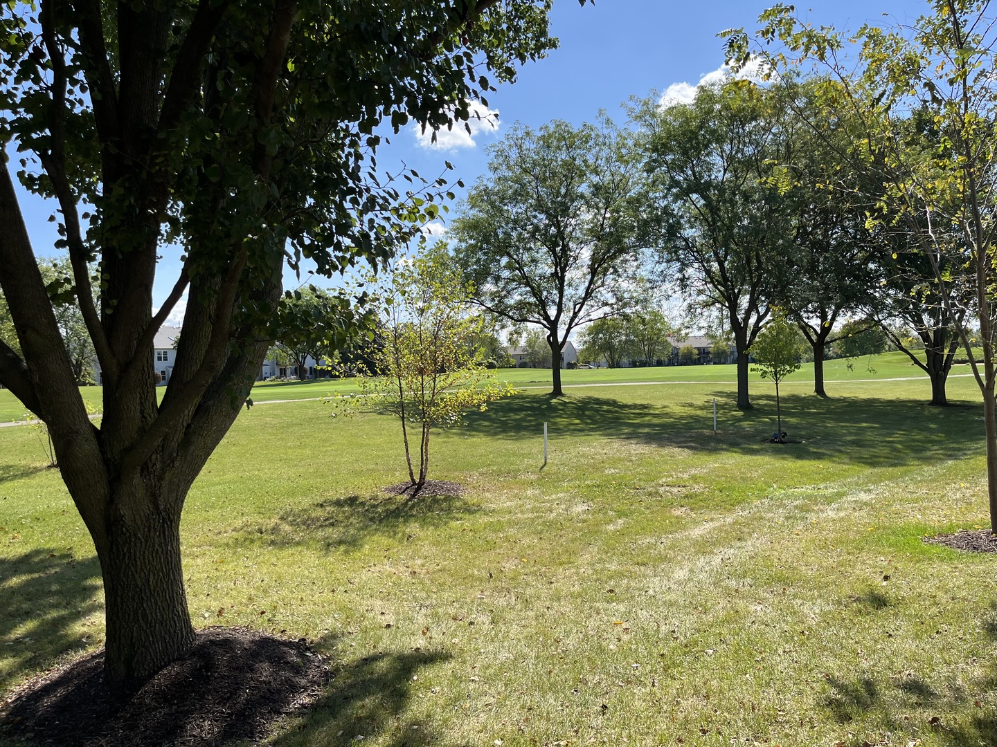 13731 S Tamarack Drive