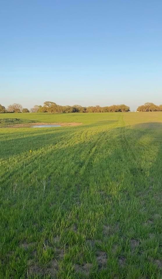 lot 9 County Road 3420