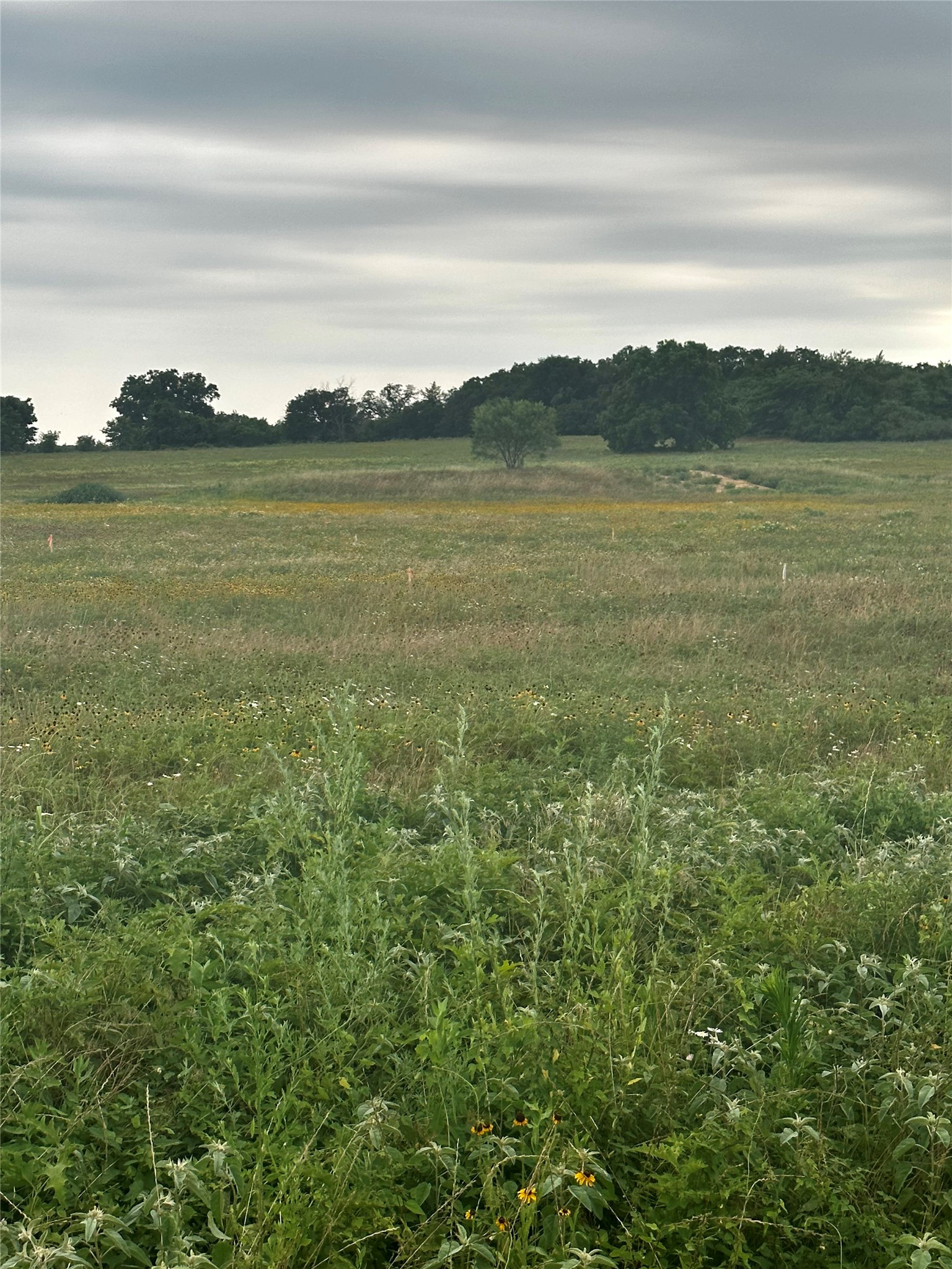 lot 9 County Road 3420