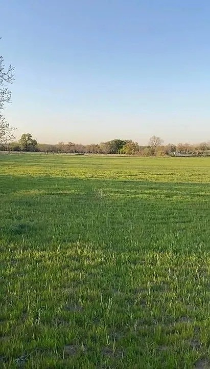 Lot 1 County Road 3424